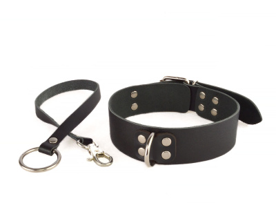 Ошейник Новичок (3358-1)